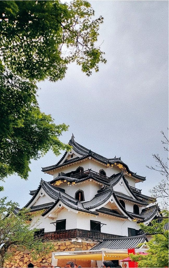 加 藤